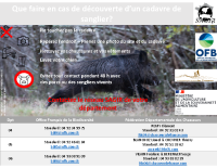 SAGIR – Affiche 04 05 06